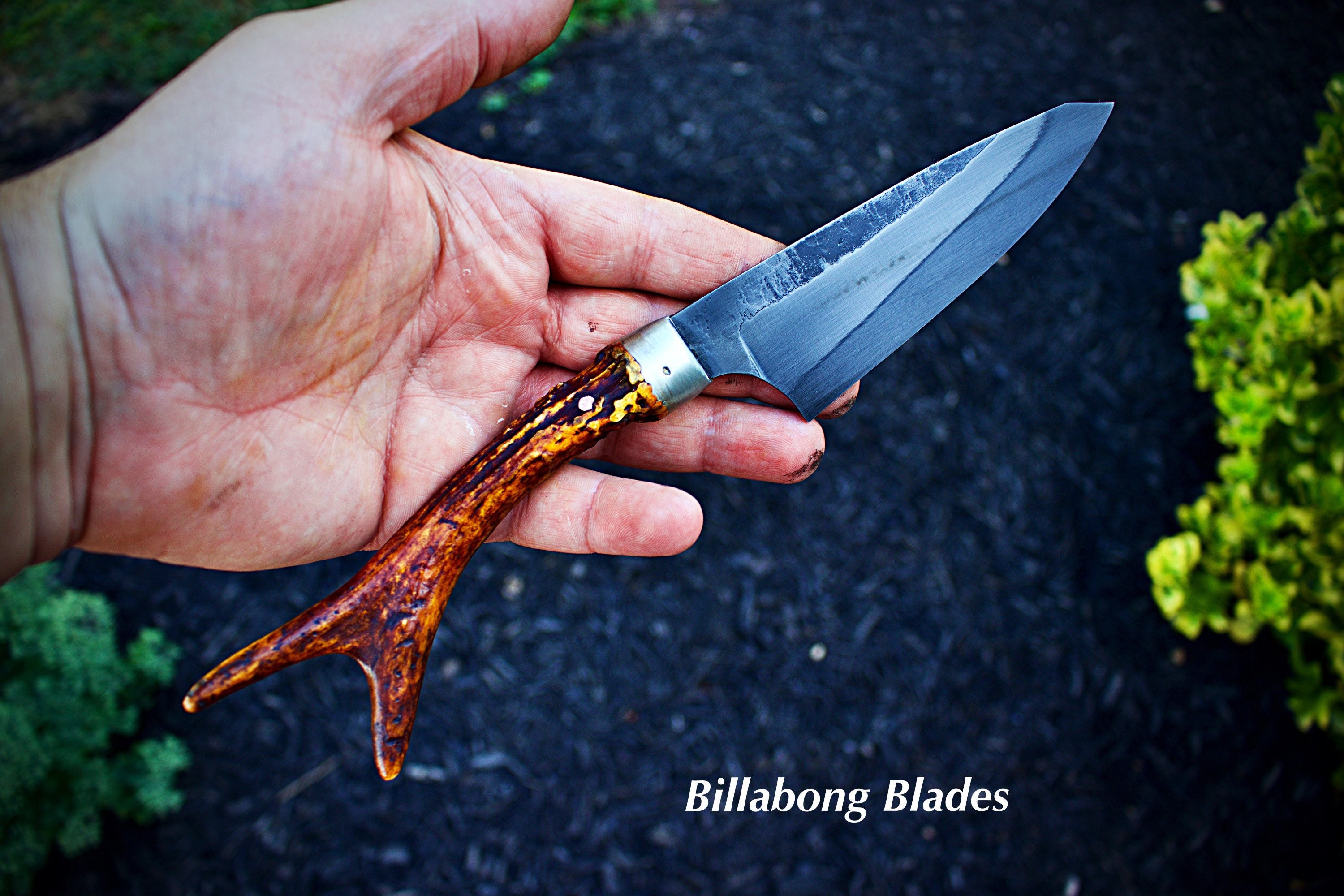 Raven Hilt Knife (Clearance Sale) - 5.5 Blade