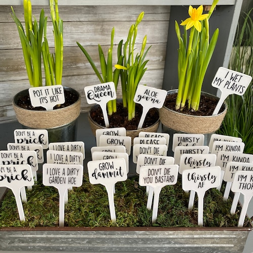 Funny Plant Stakes Garden Tags Custom Garden Stakes Etsy