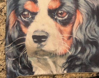 Conmovedor King Charles Spaniel Funda de almohada.