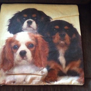 Cavalier King Charles Spaniels Pillow Cover - Blenheim, Tri and Black & Tan!  FREE Domestic SHIPPING!