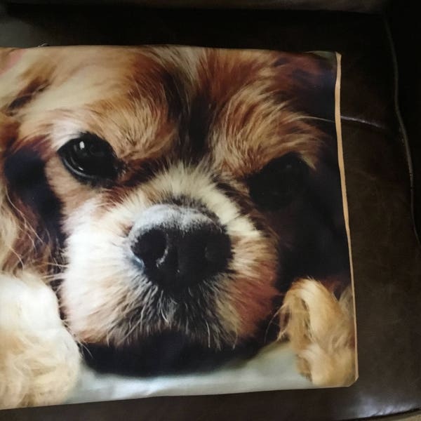 Cavalier King Charles Spaniel, Blenheim Pet Portrait Pillow Cover, Top Quality, Double Sided, Zipper, Machine Washable, Super Soft!