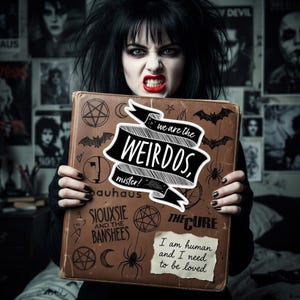 Puede incluir: Una carpeta marrón con una pancarta central con el texto "we are the WEIRDOS, mister!" rodeada de ilustraciones en tinta negra de pentagramas, murciélagos y arañas, además de "bauhaus", "SIOUXSIE AND THE BANSHEES", "THE CURE" y "I am human and I need to be loved".