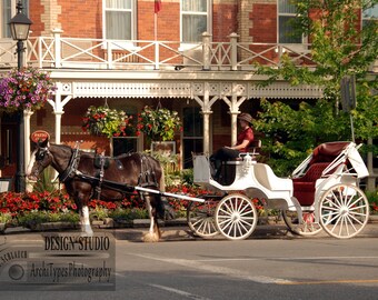 Horse And Carriage, Niagra Falls, Canada