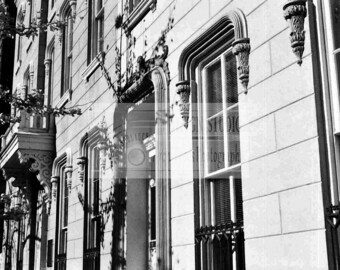Facade Relief, Alexandria, Virginia