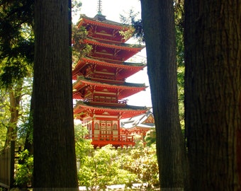 Temple In The Trees, San Francisco, California