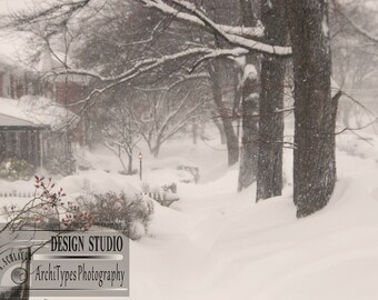 Silent Blizzard, Baltimore, Maryland, Snowstorm