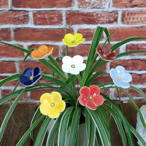 May include: A spider plant with long, thin green and white striped leaves in a white pot, decorated with eight small, glossy ceramic flowers in yellow, orange, white, blue, red, and brown, each featuring a small yellow center detail.