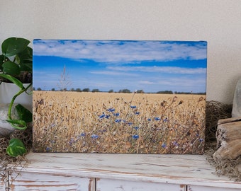 Fotografie, kunstprint "Late zomerdag aan de kant van het veldpad", print op canvas, fine art en fine art fotopapier