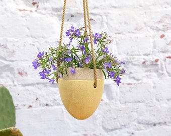 Hanging basket, vase