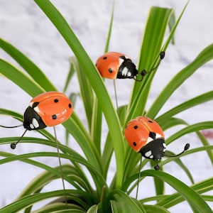 May include: Three decorative ladybug plant stakes with orange and black bodies, and wire legs and antennae. The ladybugs are placed among the green and white leaves of a houseplant, against a white brick background. Garden decor.