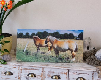 FineArt photography, art print "On the horse paddock" on canvas and FineArt photo paper