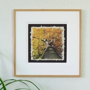 Foto su carta fatta a mano con (in cornice) "Gioielli della corona" n. 15