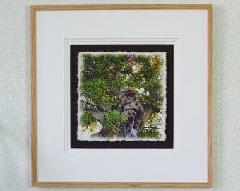 Photo on handmade paper with (framing) "Crown Jewels" No. 04