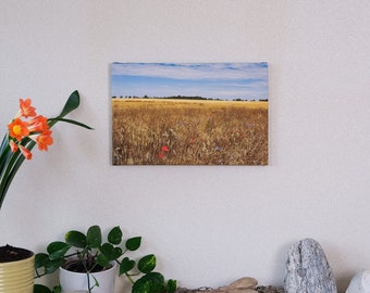 Fotografie, Kunstdruck "Spätsommertag am Feldwegrand" auf Leinwand und FineArt-Fotopapieren