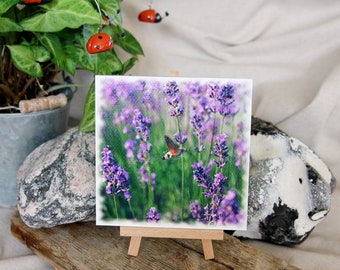 Photo "lavender" 13x13cm