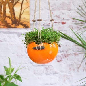 May include: A hanging orange ceramic planter filled with green plants. The planter has a guitar-shaped design with a brown wooden accent. It hangs from a natural rope with wooden beads, set against a white brick wall.