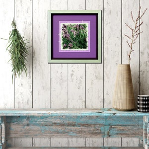 Quadro su carta fatta a mano, cartoncino fotografico, biglietti d'auguri, foto con passepartout, "Lavanda"