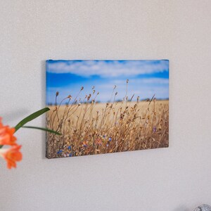 Photographie, Kunstdruck Spätsommertag am Feldwegrand, Druck auf Leinwand oder FineArt Fotopapieren Bild 2