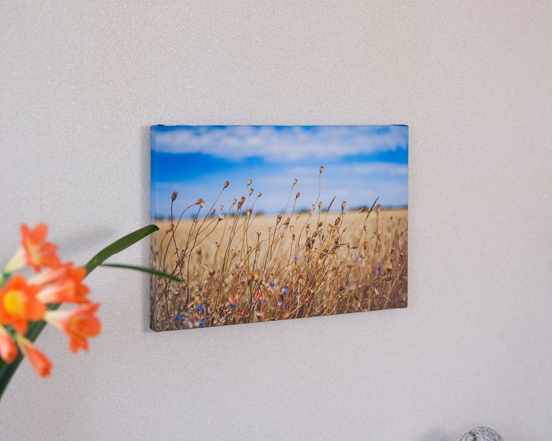 Photographie, Kunstdruck Spätsommertag am Feldwegrand, Druck auf Leinwand oder FineArt Fotopapieren Bild 2