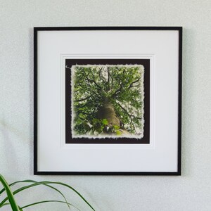 Foto su carta fatta a mano con (in cornice) "Gioielli della corona" n. 07