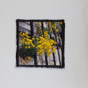 Picture, collage, wallflower 20 x 20 cm image 3