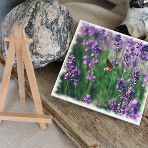 Photo lavender 13x13cm image 3