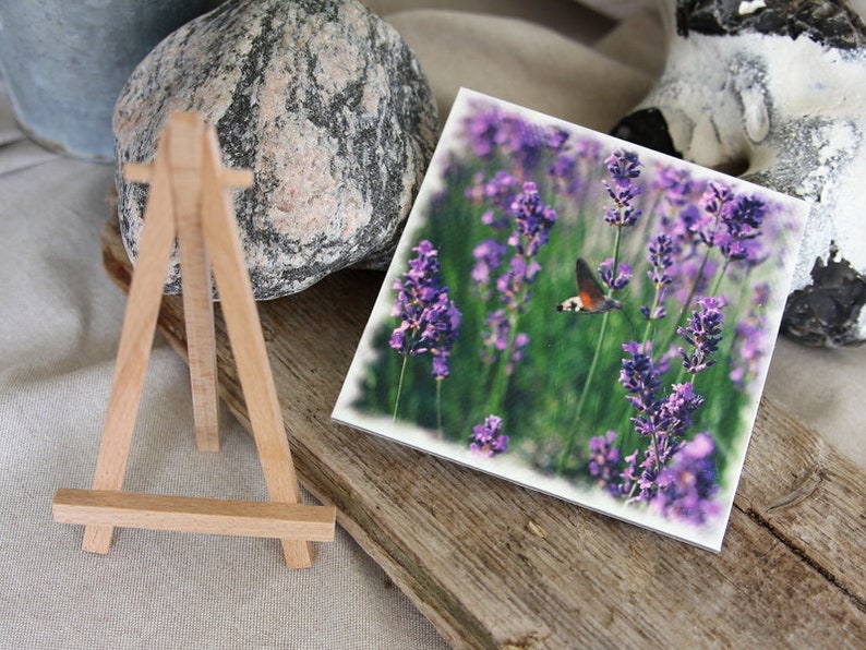 Photo lavender 13x13cm image 3