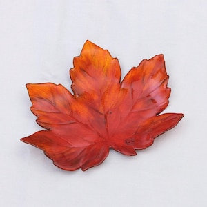 Ceramic Leaf, Fall Leaves, Leaf, Shell, Maple
