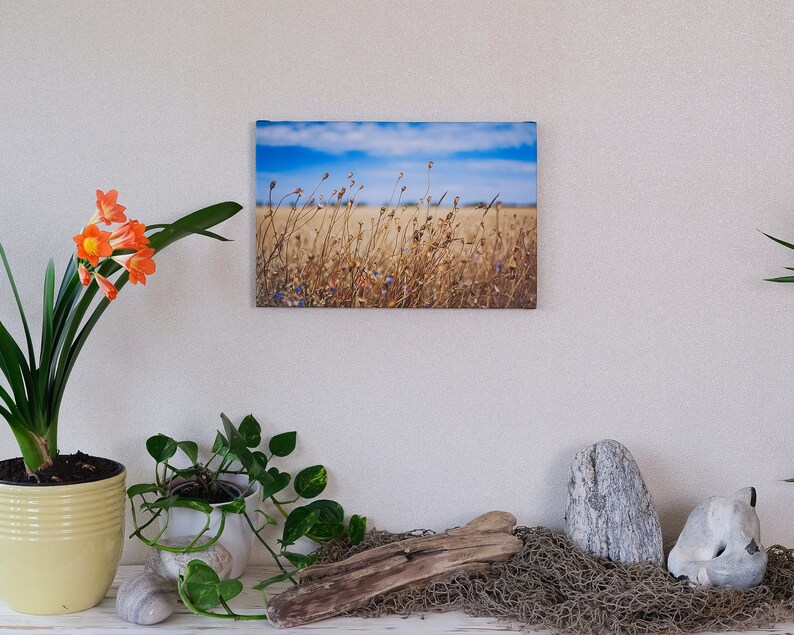 Photographie, Kunstdruck Spätsommertag am Feldwegrand, Druck auf Leinwand oder FineArt Fotopapieren Bild 3