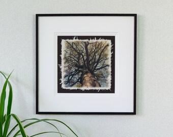 Photo on handmade paper with (framing) "Crown Jewels" No. 17