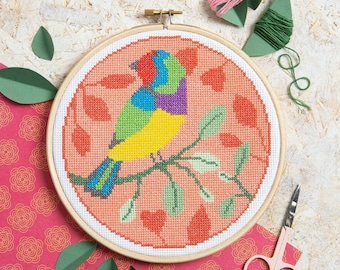 Rainbow Finch Cross Stitch Kit - Cross Stitch for Beginners - Bird Cross Stitch Kit - Easy Cross Stitch Pattern - Beginners Cross Stitch Kit