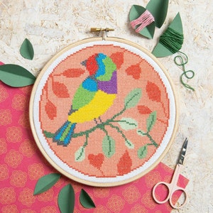 Rainbow Finch Cross Stitch Kit Cross Stitch for Beginners Bird Cross Stitch Kit Easy Cross Stitch Pattern Beginners Cross Stitch Kit image 1