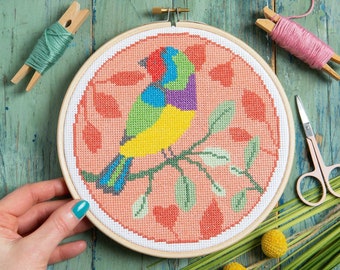Rainbow Finch Bird Cross Stitch Kit : DIY Craft Set for Beginners with DMC Threads