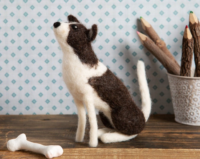 Decorative Stitches Quilt Kit by Tula Pink Etsy