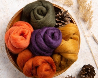 Autumn Needle Felting Wool Bundle - Merino Wool for Felting - Wool Tops - Wool Roving - Felting Supplies - Wool for Spinning - Fall Colors