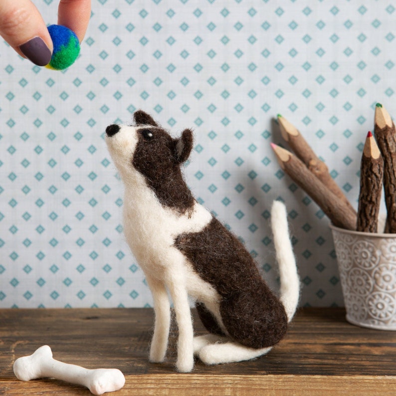 Border Collie Needle Felting Kit Craft Kit for Beginners Etsy