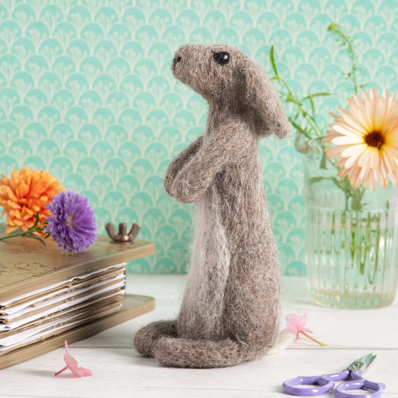 Rabbit Needle Felting Kit Felting Kit for Beginners Needle Etsy