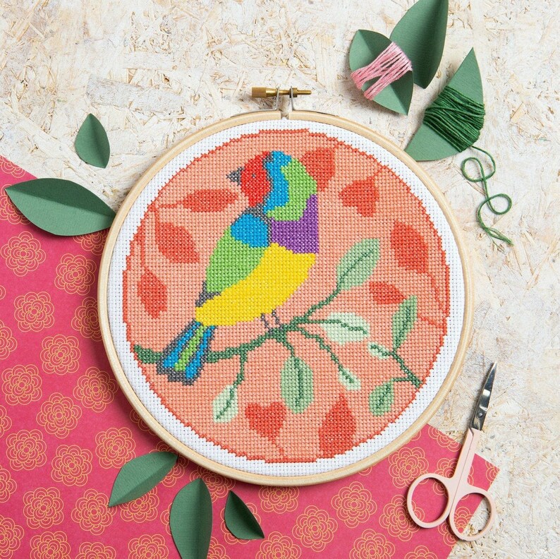 Rainbow Finch Cross Stitch Kit Cross Stitch for Beginners Bird Cross Stitch Kit Easy Cross Stitch Pattern Beginners Cross Stitch Kit image 1