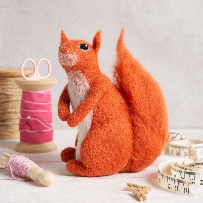 Red Squirrel Needle Felting Kit Craft Kit for Beginners Etsy