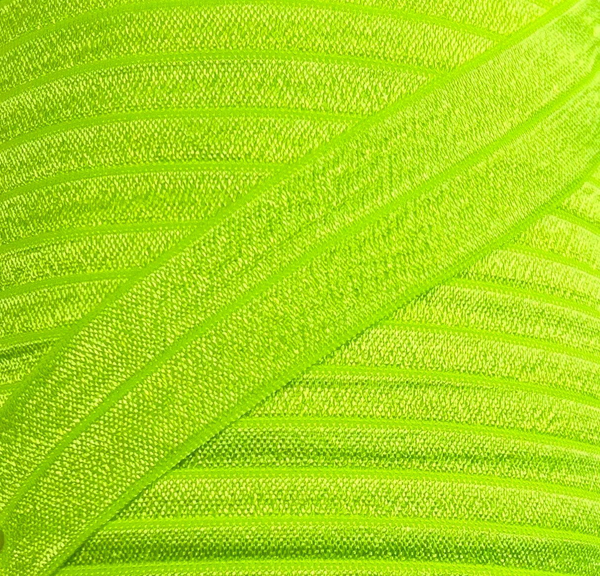 One Inch Neon Green Fold Over Elastic - Neon Green 1