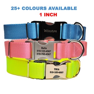 Quick Release Dog Collar - 1 Inch Width Heavy Duty NYLON WEBBING - Customized Dog Collar - Personalized Dog Collar- Large Dog Collar