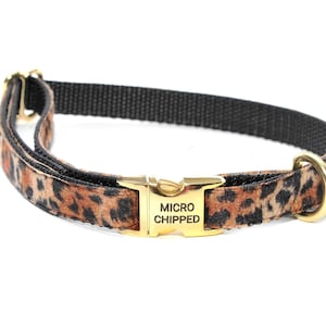 5/8 INCH VELVET LEOPARD adjustable dog collar on Copper Gold  heavy duty nylon webbing