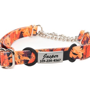Martingale Training collar /5/8&quot; Width FALL LEAVES / Webbing Dog Collar /  1/2 Check Chain Martingale / Personalized /Laser Engraved Collar