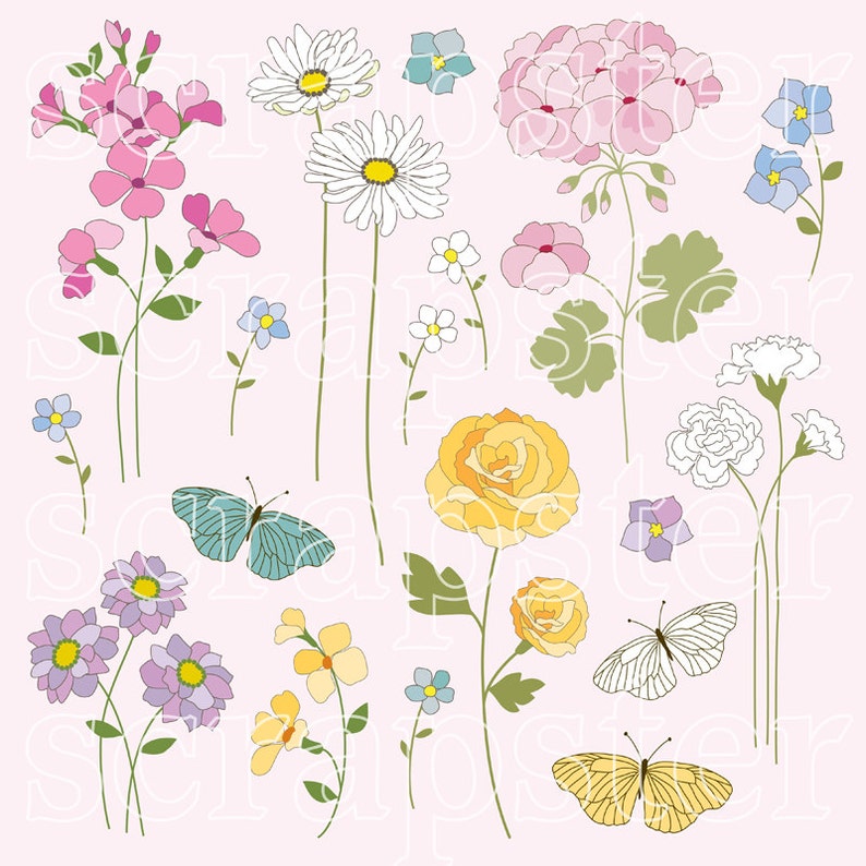 Hand Drawn Flowers /& Butterflies Digital Clipart
