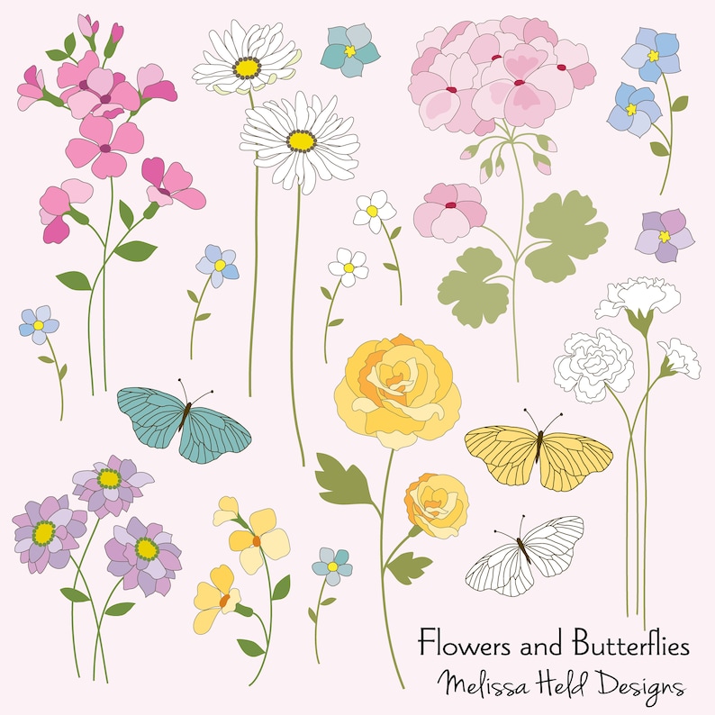 Hand Drawn Flowers /& Butterflies Digital Clipart