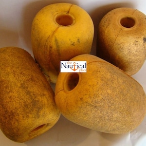 May include: Four yellow foam boat fenders with a hole in the center. The fenders are slightly worn and have a rough texture.