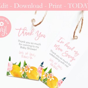 Lemons Pink Favor Tags, Main Squeeze Favor Tags, Citrus Blush Floral tags, DIY Printable, Bridal Shower Thank You Tags, Citrus Baby Shower