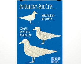 Dublin Birds: Dublin's Fair City – Poster – where the birds are so pretty, illustration, Irish, Ireland, seagulls, birds, Dublin, beautiful