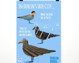 Dublin Birds: Witty Birds – Poster – where the birds are so pretty, illustration, Irish, Ireland, seagulls, design, birds, Dublin