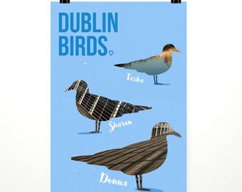 Aves de Dublín: Nombres – Cartel – Sharon, Tasha, Donna, animal, Irlandés, Irlanda, Liffey, gaviotas, diseño gráfico, niñas, pájaros, humor